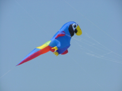 Berck2007-077