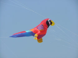 Berck2007-078