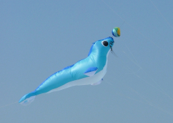 Berck2007-083