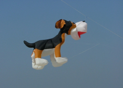 Berck2007-085
