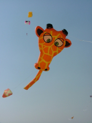 Berck2007-091