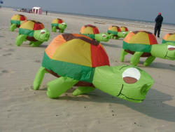 Berck2007-100