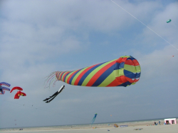 Berck2007-102