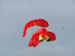 Berck2007-104