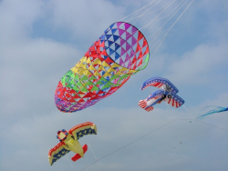 Berck2007-107