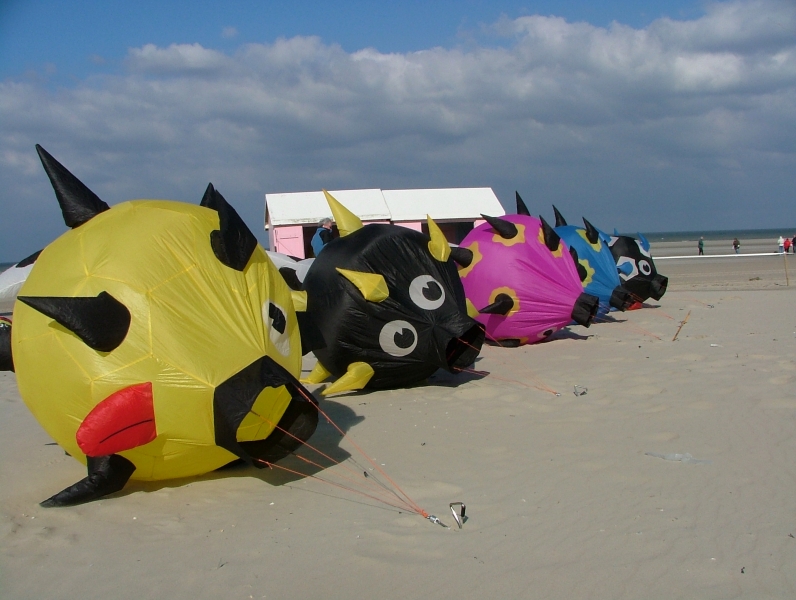 Berck2007-119