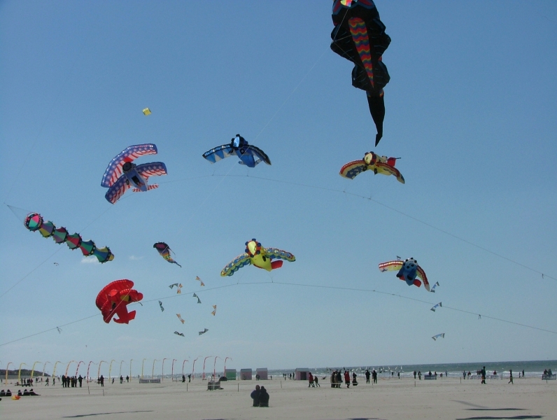 Berck2007-132