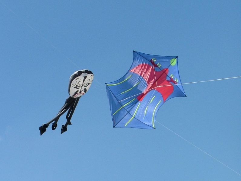 Berck2007-136