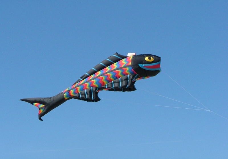 Berck2007-147