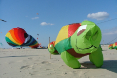 Berck Sur Mer - 2007-04-04