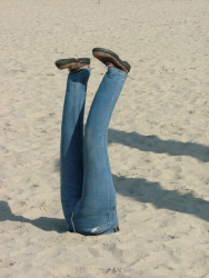 Berck2007-204