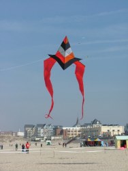 Berck2007-207