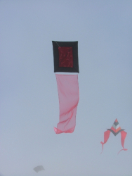 Berck2007-210