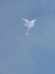 Berck2007-211