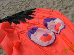 Berck2007-214