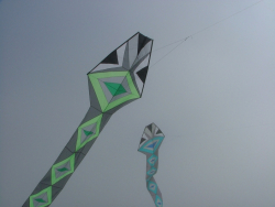 Berck2007-215