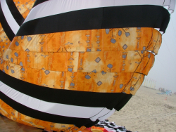 Berck2007-219