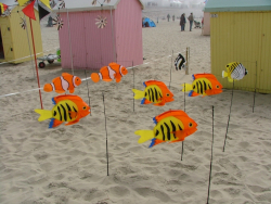 Berck2007-223