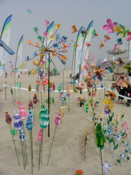 Berck2007-226