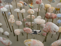 Berck2007-228