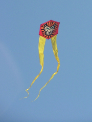 Berck2007-232