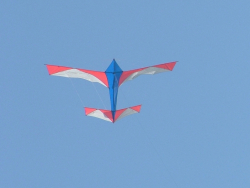 Berck2007-233