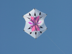 Berck2007-237