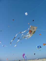 Berck2007-245