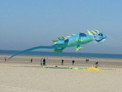 Berck2007-257