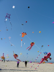 Berck2007-261