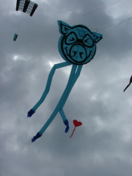 Berck2007-274
