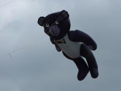 Berck2007-281