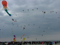 Berck2007-295