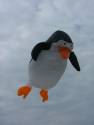 Berck2007-301