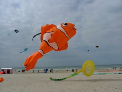 Berck2007-303