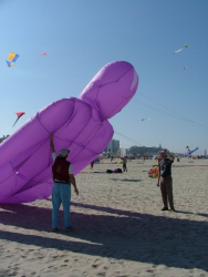 Berck2007-326