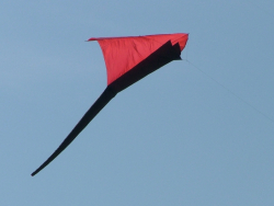 Berck2007-328
