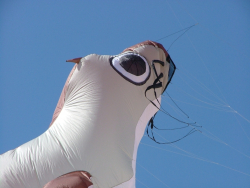 Berck2007-339