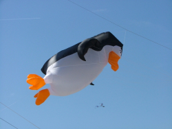 Berck2007-346