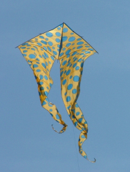Berck2007-347