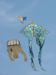 Berck2007-348