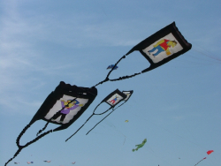 Berck2007-349