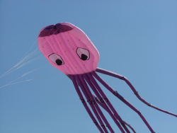Berck2007-358