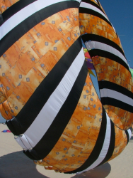 Berck2007-359