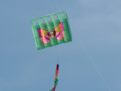 Berck2007-362