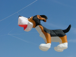 Berck2007-375