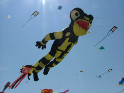 Berck2007-378