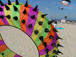 Berck2007-379
