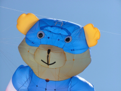 Berck2007-382