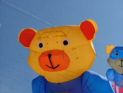 Berck2007-383